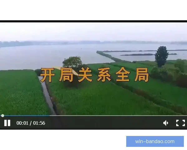 国乒新答卷：立足巅峰再出发永不沉睡的奋斗之路